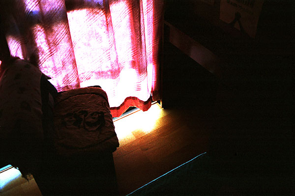 �J�[�e���̌�