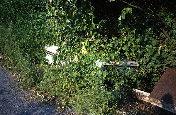 �����ꂽ��