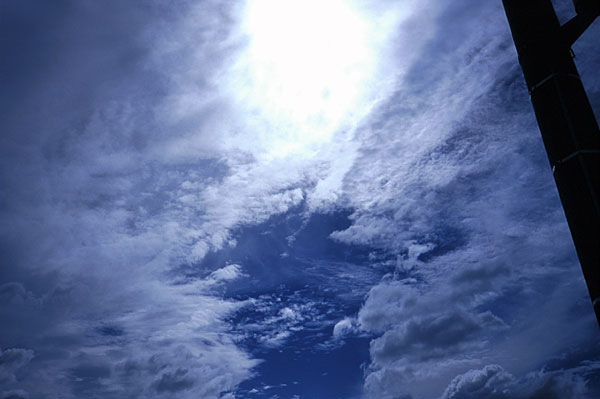 �_�̒��̑��z